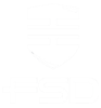 web_FSD es logo HR